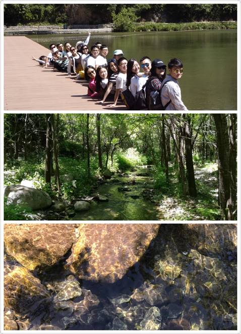 image004.jpg image004.jpg